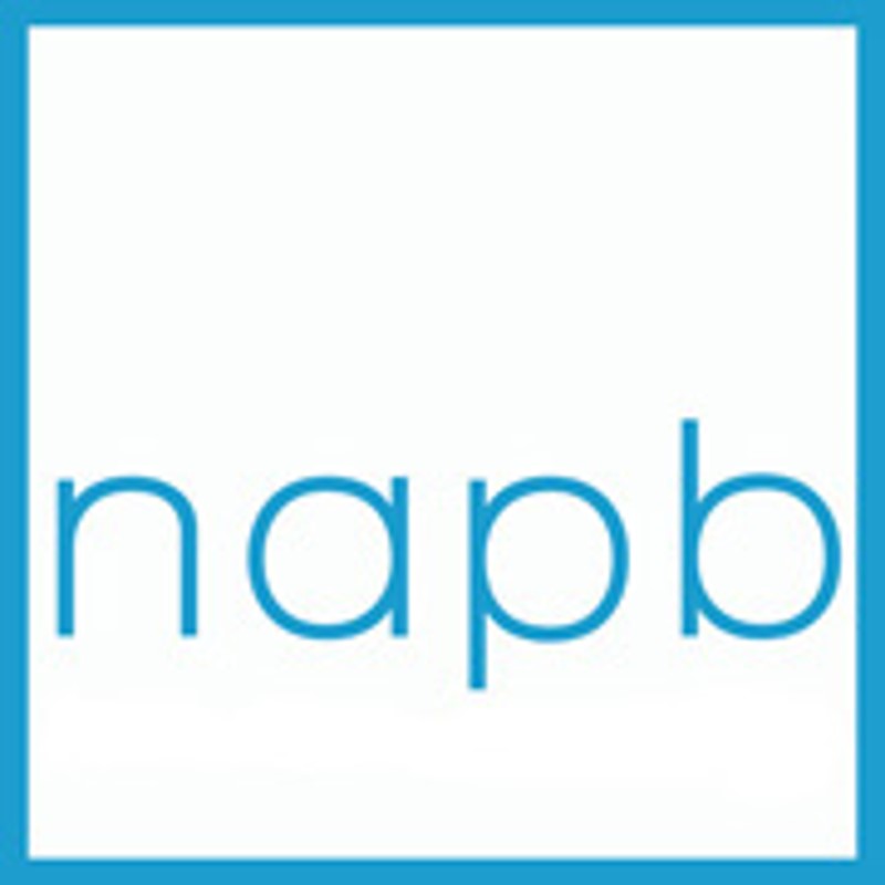 NAPB Logo, NAPB approved cash buyers, UK Budget 2025, private cash sale